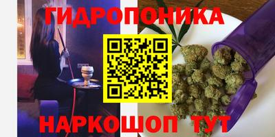 прущие крисы Аргун