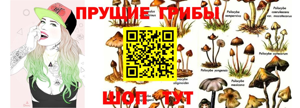 Псилоцибиновые грибы прущие грибы Белебей