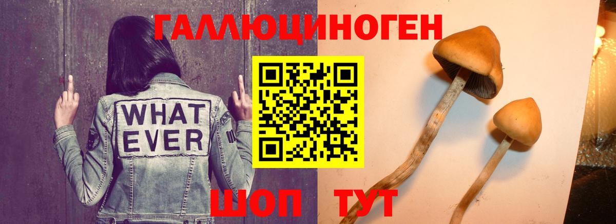 Галлюциногенные грибы ЛСД  Вход с VPN  Галлюциногенные грибы ЛСД  Белебей 